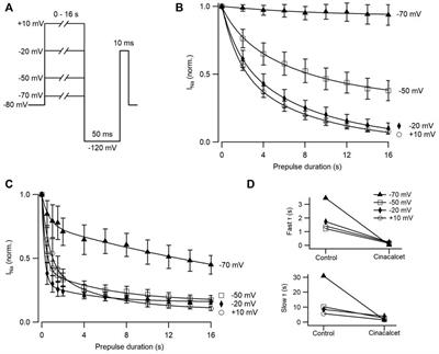 Cinacalcet inhibition of neuronal action potentials preferentially targets the fast inactivated state of voltage-gated sodium channels